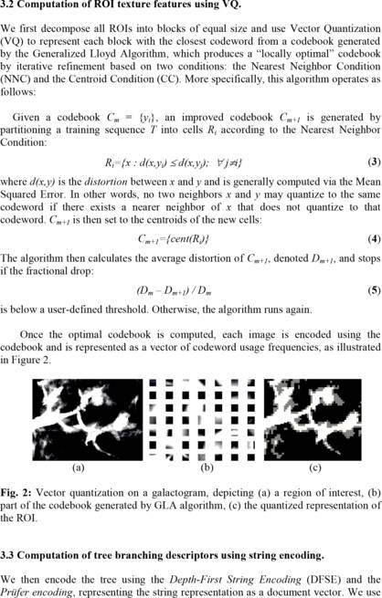 Analyzing Tree-Like Structures in Medical Images Based on Texture and Branching: An Application to Breast Imaging